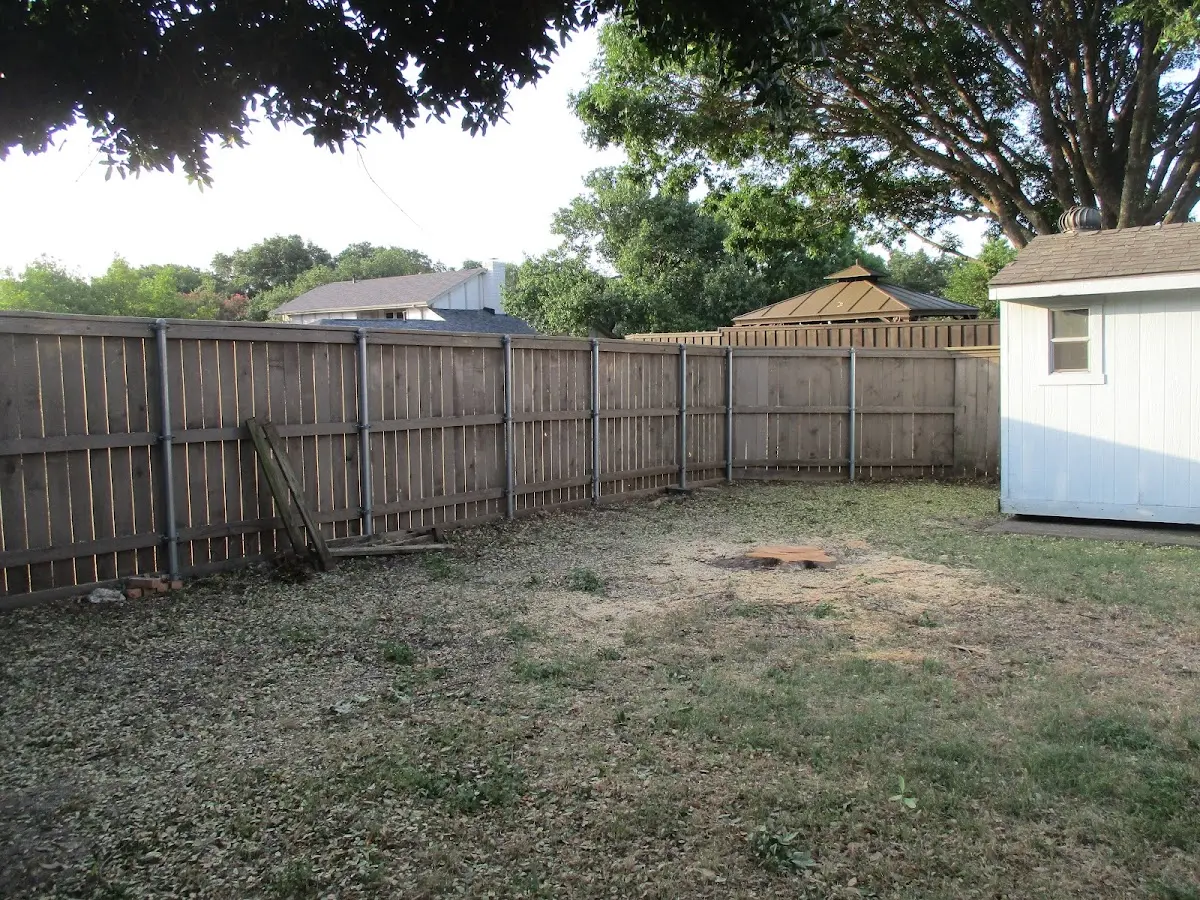Cleared yard after professional tree removal in Chase Mills